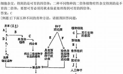 高中生物高考知识点总结大全,高中生物高考知识点总结