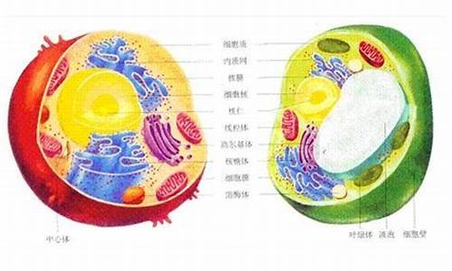 高考常考的原核生物和真核生物_原核生物高考