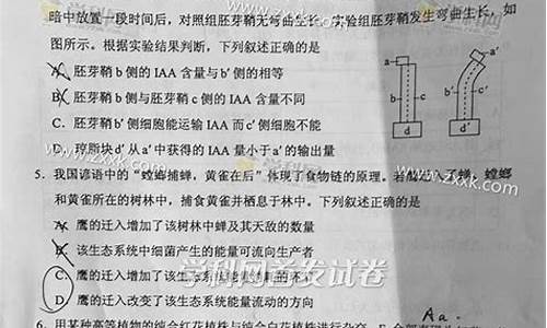 2016年广西高考理科数学试卷_2016广西高考理综解析