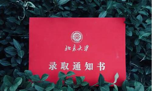 你被北京大学录取了英语翻译,我被北京大学录取了英语