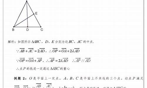 高中数学向量难题_向量难题高考